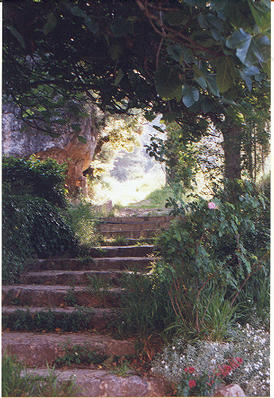 picture