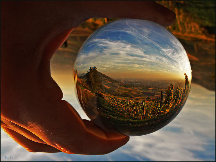 picture