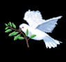 category picture
