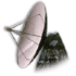 category picture