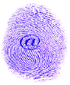 category picture