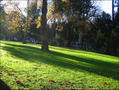 A park in Asturias